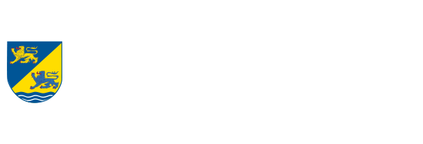 Logo digitale Region Schleswig-Flensburg weiss